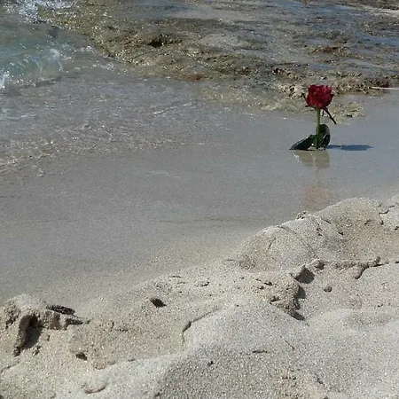 Casa Orchidea - The Fab *