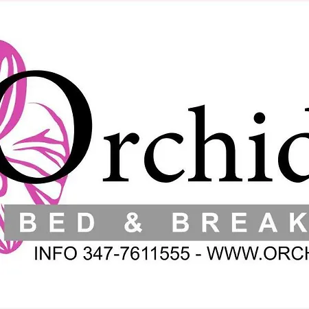 Casa Orchidea - The Fab Bríndisi
