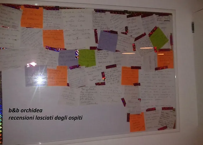 Casa Orchidea - The Fab