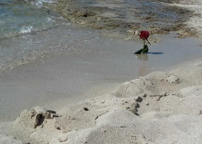 Casa Orchidea - The Fab *